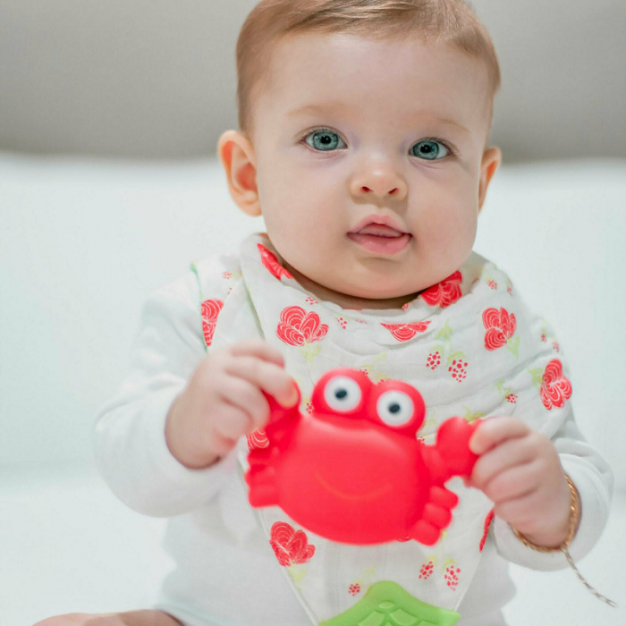 Set 7 animalute de baie, Fara gauri, Cu gentuta pentru transport, Fara BPA, Floating Sea Friends, Playgro, New Blue [3]