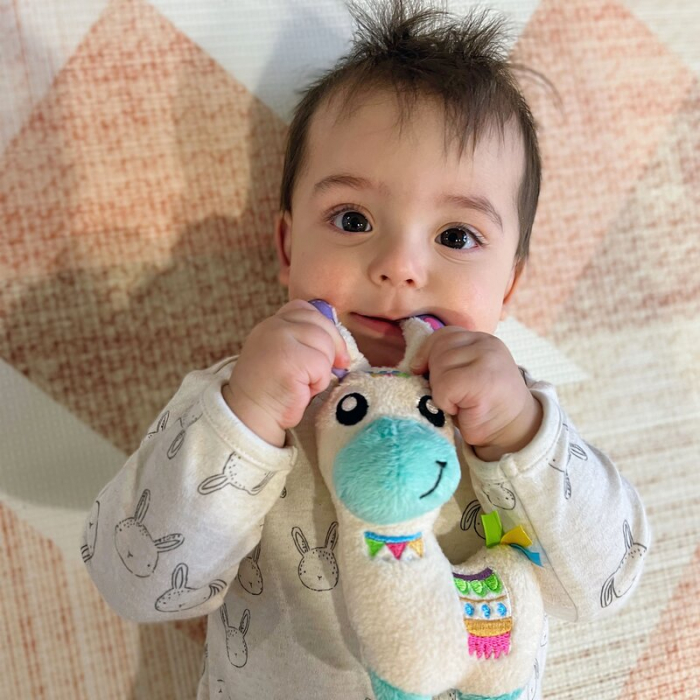 Set jucarii interactive, Playgro, Include 6 cupe pentru stivuire, 6 inele, o jucarie din plus si o jucarie cu ventuza, 6 luni+, Sensory Llama Explore and Play Gift Pack [17]