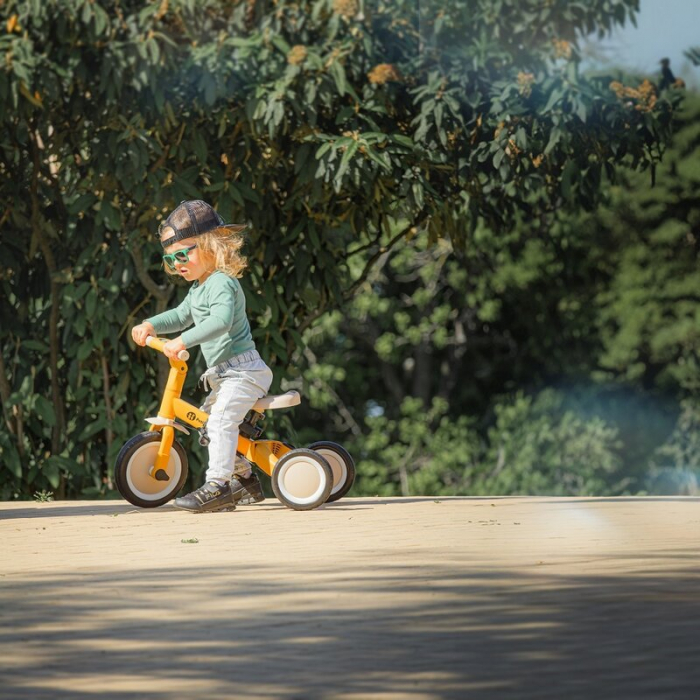 Tricicleta, Petite&Mars, Turbo, 5 in 1, Multifunctionala, Vehicul de impins, Bicicleta cu/fara pedale, Cu maner de ghidaj, Detasabil, Roti din cauciuc, Pana la 25 kg, 1.5-5 ani, Albastru [14]