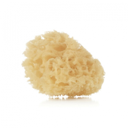 Cadite si accesorii - Burete baie natural, Jane, 2 bucati, 0+ luni