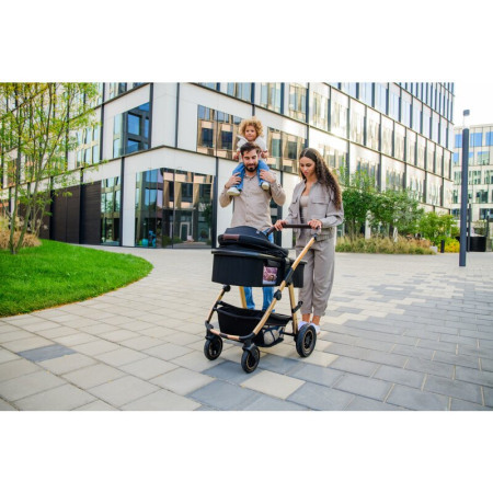 Carucior 3 in 1, Lionelo, Amber, Landou intarit, Scoica auto testata ADAC, Reversibil, Cu accesorii, Geanta parinti, Pana la 22 kg, Bej [55]