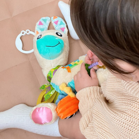 Jucarie carucior sau scaun auto, Playgro, Cu inele pentru dentitie, Cu diverse forme si texturi, Cu sunete si zornaieli, Dezvolta abilitatile motorii si imaginatia, 0 luni+, Sensory Friend Lupe Llama [9]