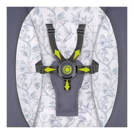 Lionelo - Balansoar si sezlong copii, Ralf, 2 in 1, Electric, Cu telecomanda si cablu USB, Cu miscare laterala de balansare si 5 niveluri diferite de viteza, Cu 12 melodii, Gri Grafit [14]