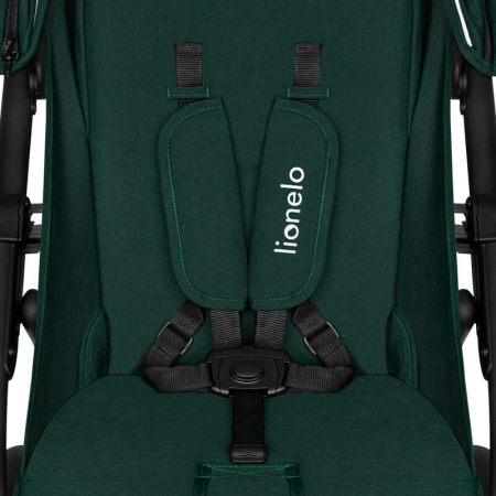 Lionelo - Carucior sport Annet Plus, De la nastere, Cu accesorii si capotina XXL reglabila, 0 - 22 Kg, Conform cu standardele europene de securitate EN1888-1 si EN1888-2, Verde [11]