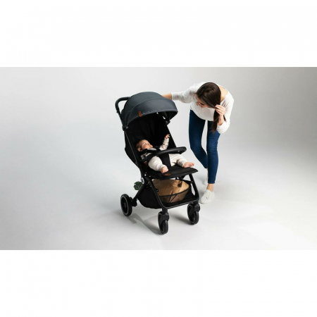 Lionelo - Carucior sport Cloe, De la nastere, Cu accesorii, Cadru din aluminiu, 0-22 kg, Usor, Pliabil cu o singura mana, Ideal pentru toate tipurile de suprafete, Verde smarald [32]