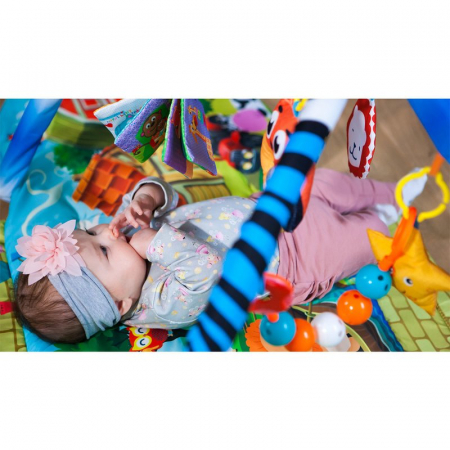 Lionelo - Salteluta educationala interactiva Agnes, Cu jucarii, Conform cu standardul european de securitate EN71, Multicolor [11]