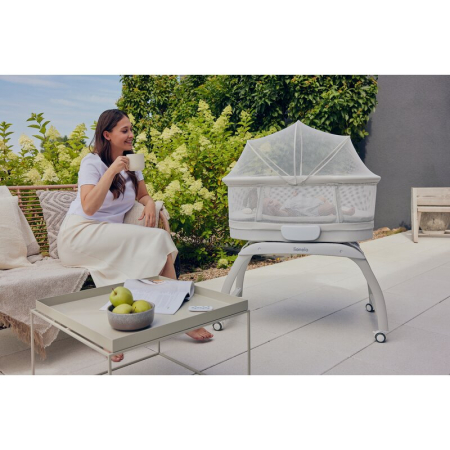 Patut balansoar, Lionelo, Coral, Cu landou ergonomic detasabil, Functie de balansare integrata, Functie de cantar, Sunete si cantece de leagan, Cu roti, Panou tactil sau telecomanda, 0-9 kg, EN 1130:2 [18]