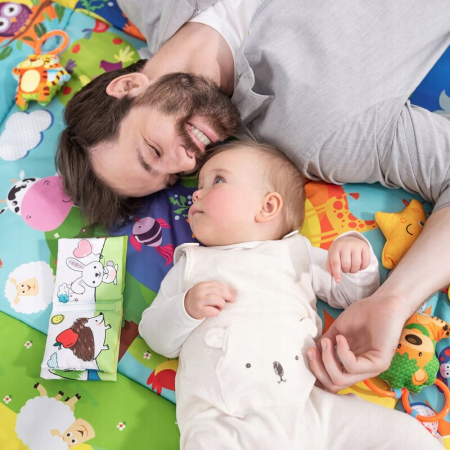 Salteluta interactiva, Lionelo, Anika, Cu jucarii, Oglinda, Perna, Conform cu standardul european de securitate EN71, Multicolor [11]