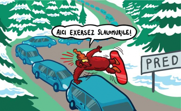 LensCover DN1 - Predeal [4]