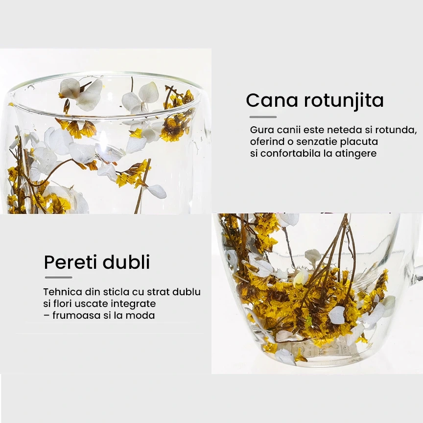 Cana din sticla borosilicata pereti dubli 350ml flori uscate galbene – cana cafea, ceai, cappuccino, latte, espresso, cadou elegant, Next Trend [5]