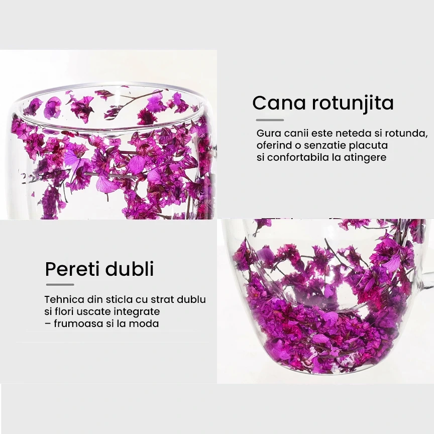 Cana din sticla borosilicata pereti dubli 350ml flori uscate mov – cana cafea, ceai, cappuccino, latte, espresso, cadou elegant, Next Trend [5]