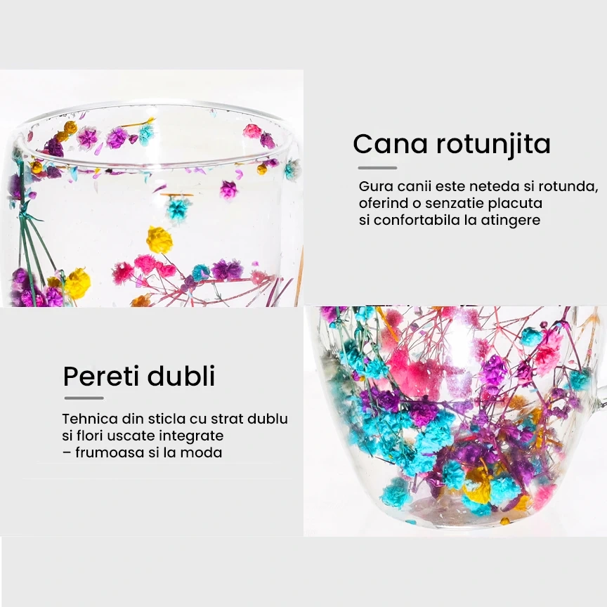 Cana din sticla borosilicata pereti dubli 350ml flori uscate colorate – cana cafea, ceai, cappuccino, latte, espresso, cadou elegant, Next Trend [3]