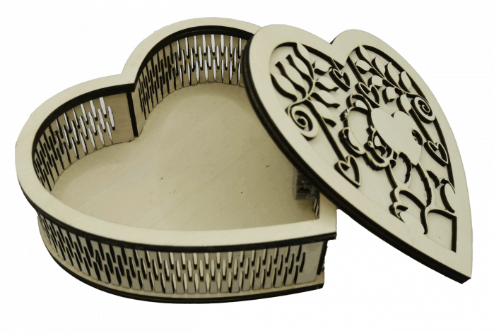 Cutie muzicala  [4]