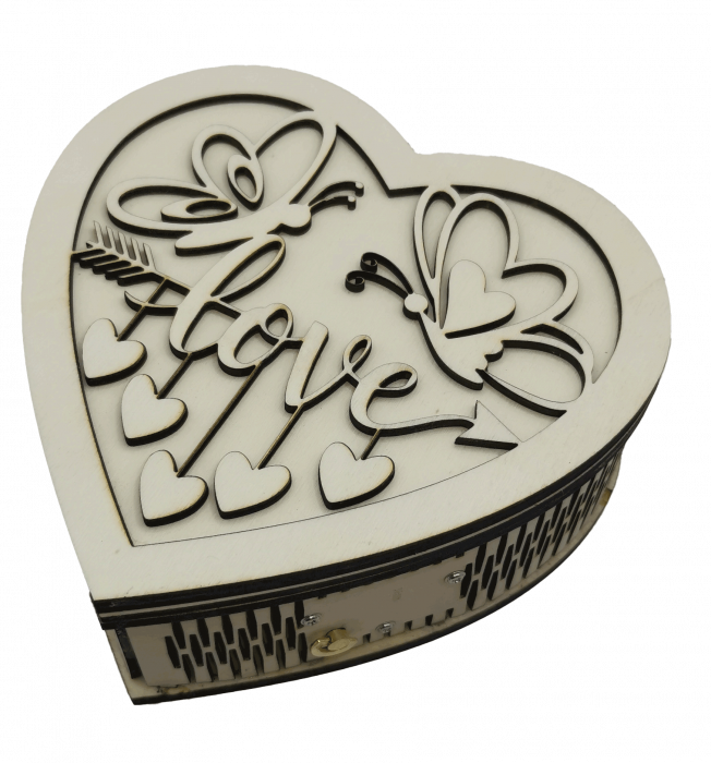 Cutie muzicala  [6]