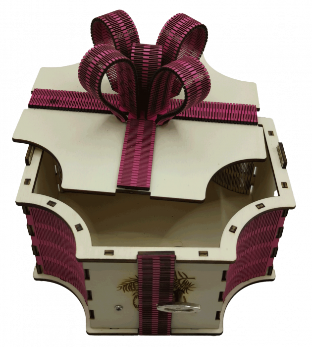 Cutie muzicala cadou [2]