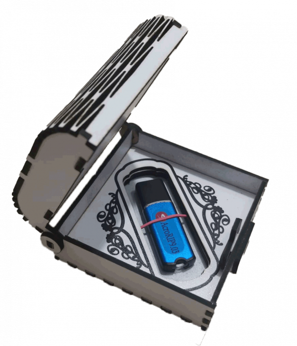 Cutie pentru stick USB [4]