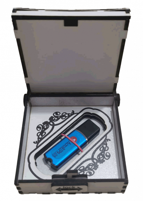 Cutie pentru stick USB [2]