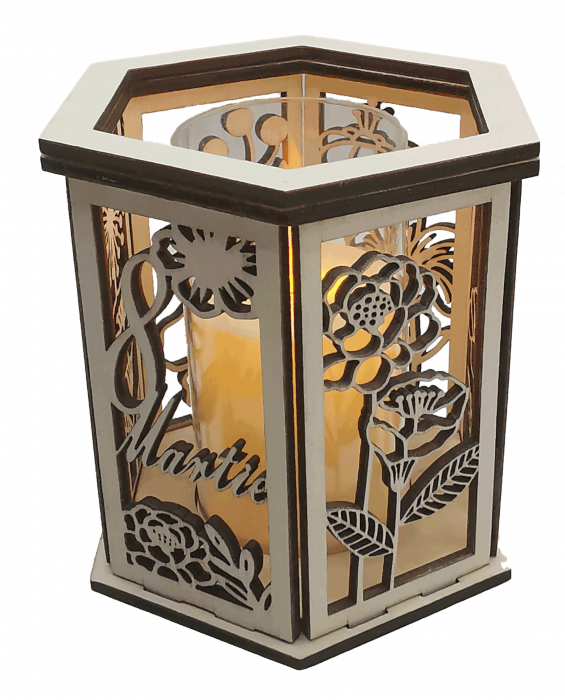 Decoratiune luminoasa [4]