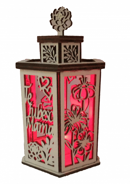 Decoratiune luminoasa [2]