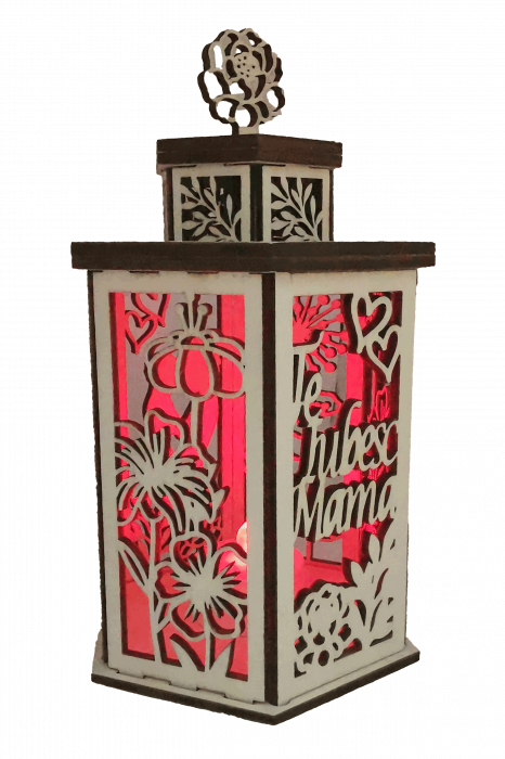 Decoratiune luminoasa [3]