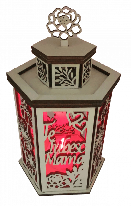 Decoratiune luminoasa [4]