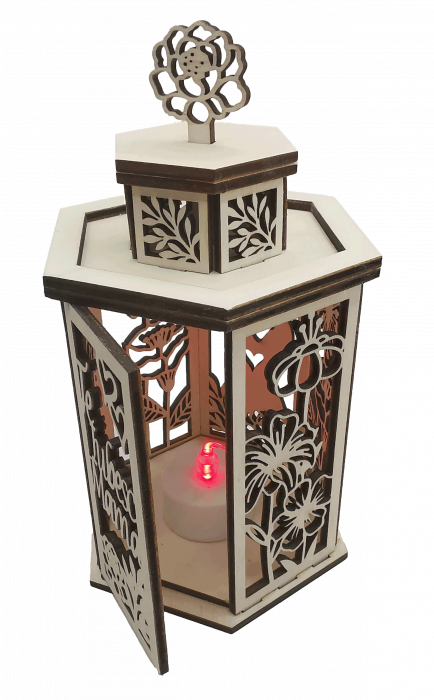 Decoratiune luminoasa [5]