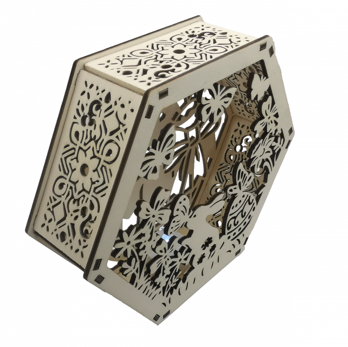 Decoratiune luminoasa [3]