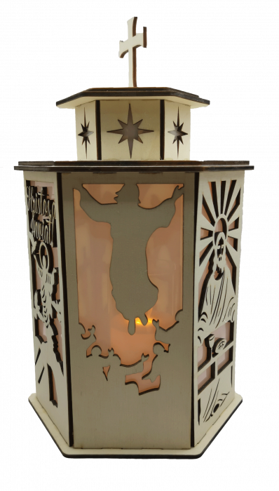 Decoratiune luminoasa [6]