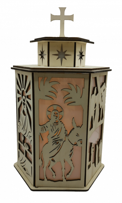 Decoratiune luminoasa [3]