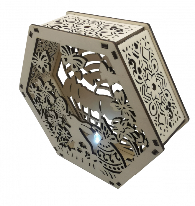 Decoratiune luminoasa [2]