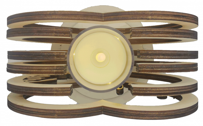 Decoratiune luminoasa [4]