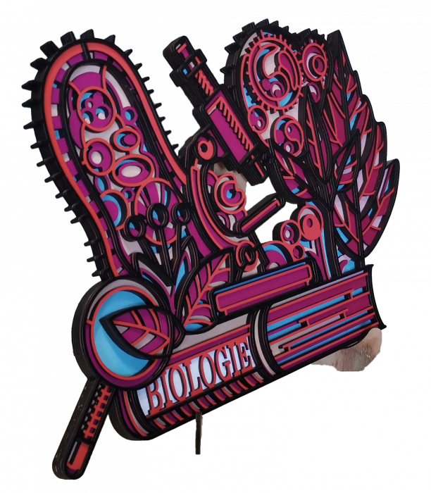 Decoratiune pentru profesori [2]