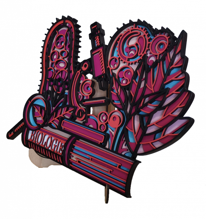 Decoratiune pentru profesori [3]