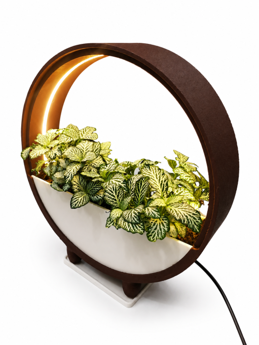 Ghiveci Decorativ cu LED pentru Plante | Nice 3D Gifts [5]