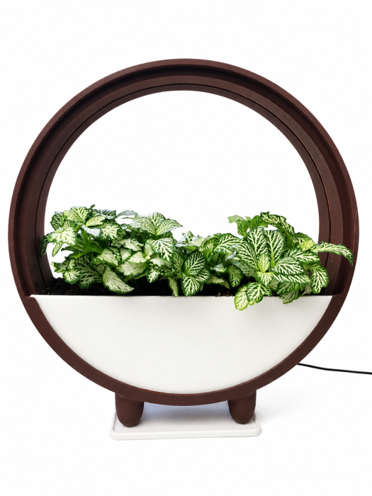 Ghiveci Decorativ cu LED pentru Plante | Nice 3D Gifts [2]