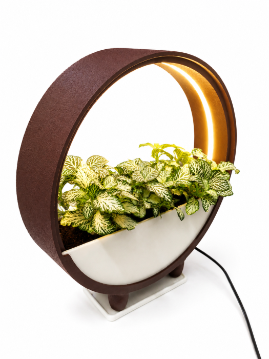 Ghiveci Decorativ cu LED pentru Plante | Nice 3D Gifts [3]