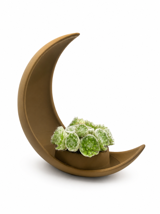 Ghiveci Decorativ Premium în Formă de Lună [3]