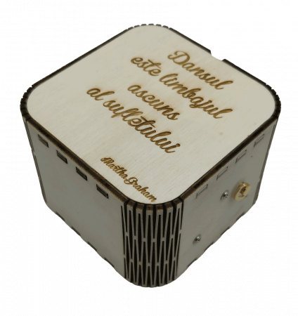 Cutie muzicala personalizabila [1]