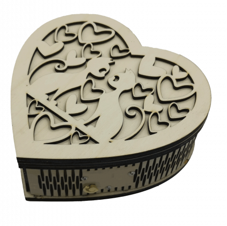 Cutie muzicala  [2]