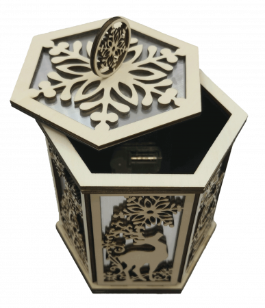 Cutie muzicala Hexagonala [2]