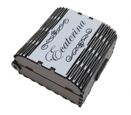 Cutie pentru stick USB [6]