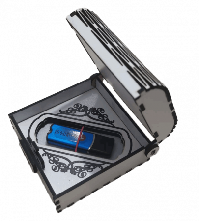 Cutie pentru stick USB [2]