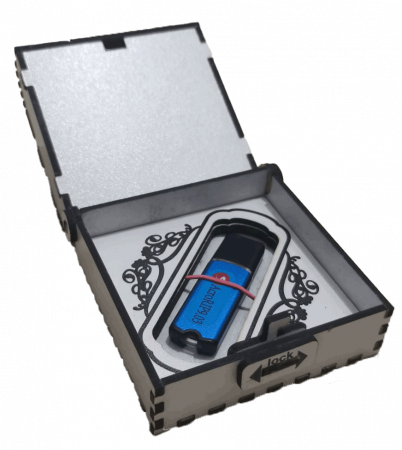 Cutie pentru stick USB [4]