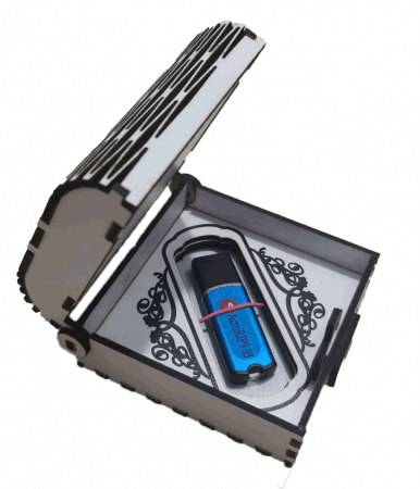 Cutie pentru stick USB [3]