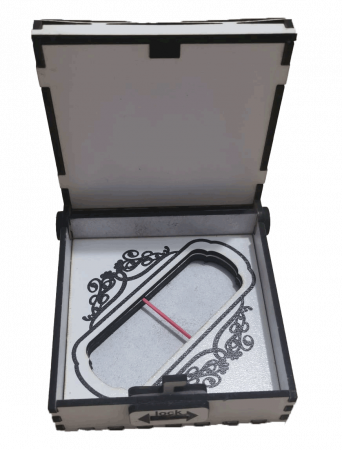 Cutie pentru stick USB [5]