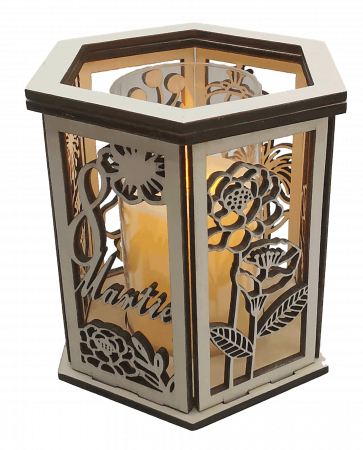 Decoratiune luminoasa [3]