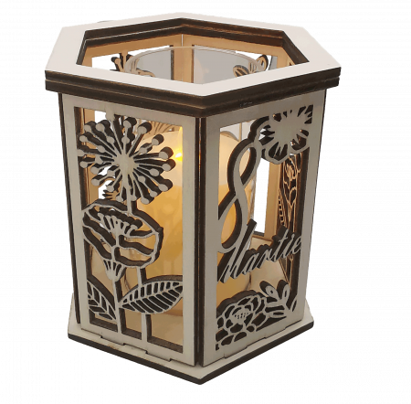 Decoratiune luminoasa [2]