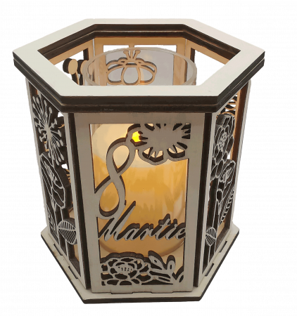 Decoratiune luminoasa [1]