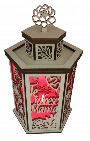 Decoratiune luminoasa [3]