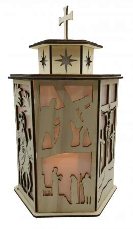 Decoratiune luminoasa [3]